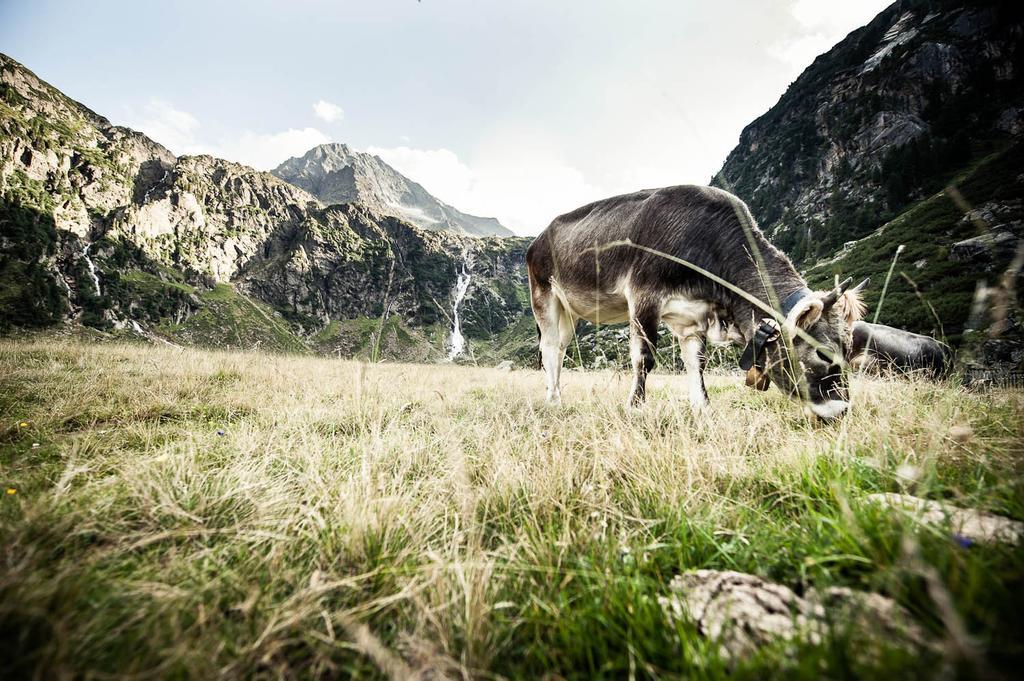 Alpenchalet Vital Neustift im Stubaital Buitenkant foto